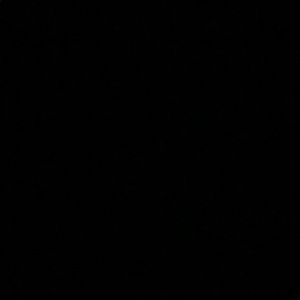 Meet your Posher, Yancy